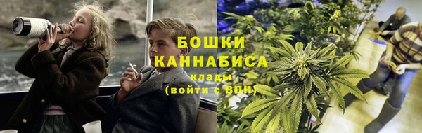 бошки Аркадак