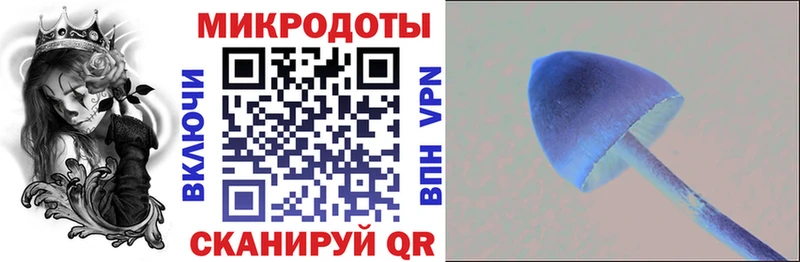 shop какой сайт  цены наркотик  Осинники  Галлюциногенные грибы MAGIC MUSHROOMS 